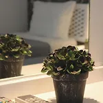 Vegas - Adults Only Guest house Albufeira
