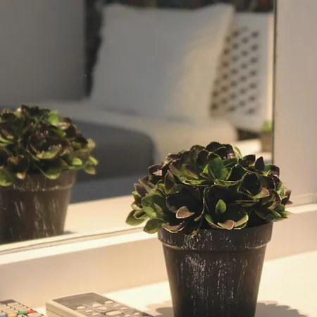 Vegas - Adults Only Guest house Albufeira