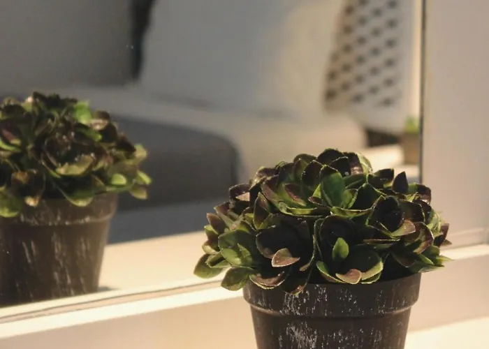 Vegas - Adults Only Гостьовий будинок Албуфейра